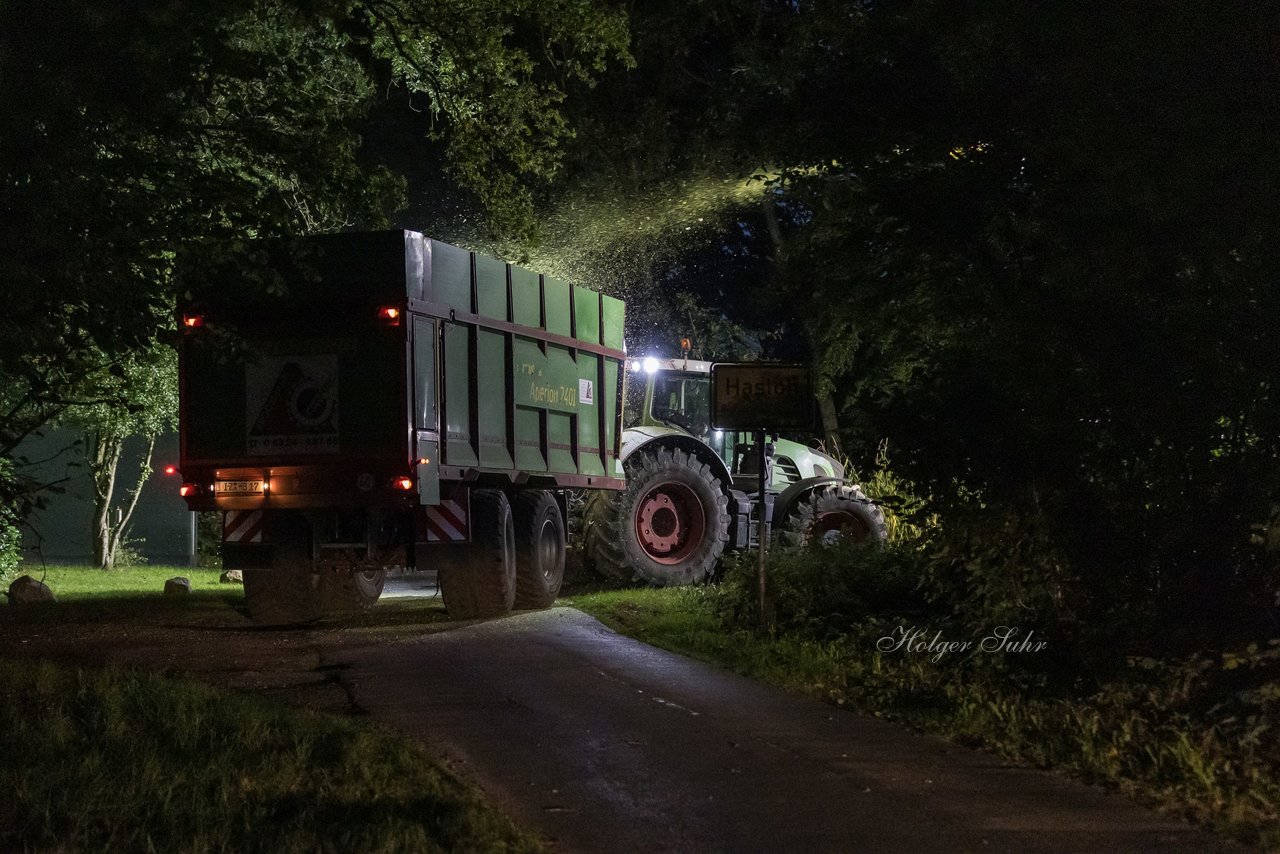 Bild 4 - Maisernte
